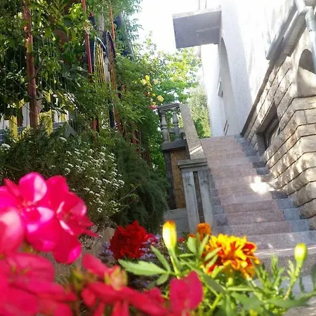 Daire Brzoja Zadar